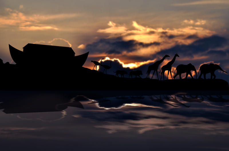 WEB NOAH ARK ANIMALS HILL Wawritto:Shutterstock