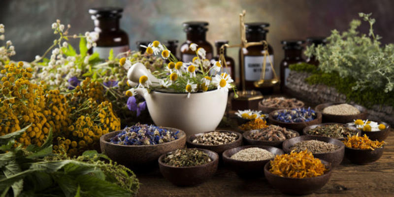 MEDICINA NATURALE FRATI