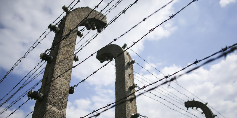 Druty kolczaste w obozie Auschwitz