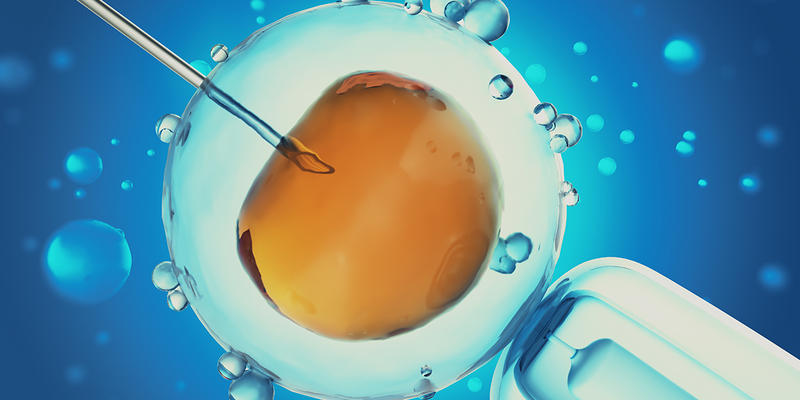 Grafika 3D prezentująca proces in-vitro