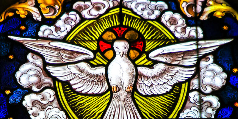 DOVE IN STAINGLASS