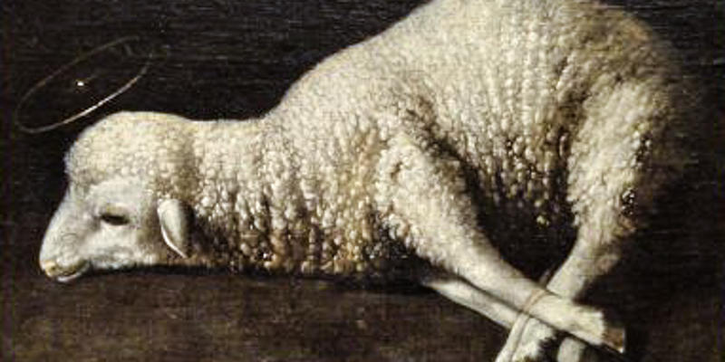 AGNUS DEI,LAMB