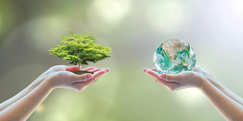 ecology