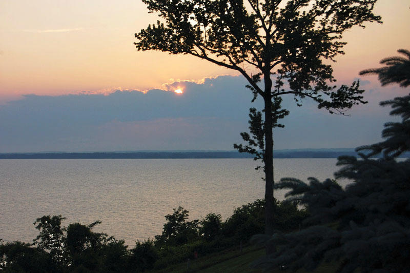LOYOLA ON THE POTOMAC