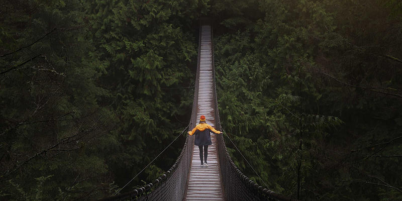 BRIDGE