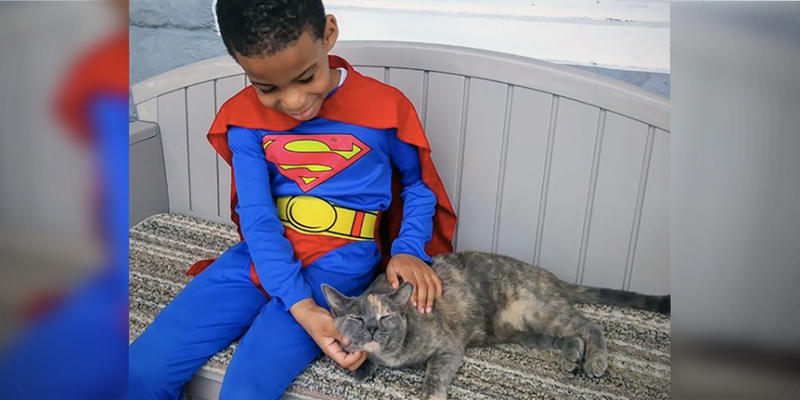 Shon Helping Stray Cats