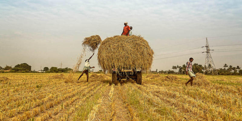 FARMERS