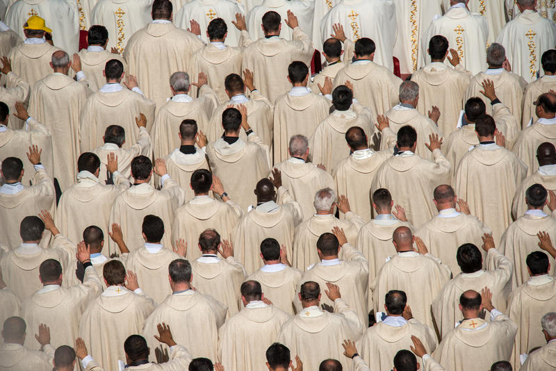 Pope Francis canonizations