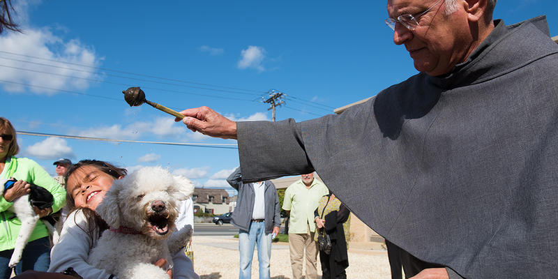 BLESSING OF THE ANIMALS