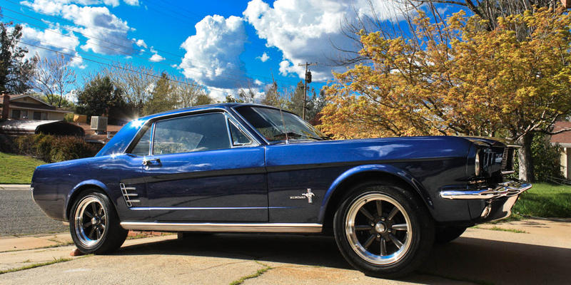 BLUE MUSTANG