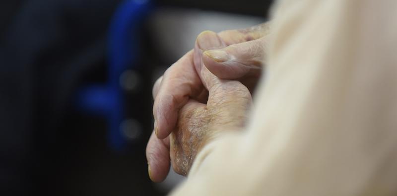 HANDS