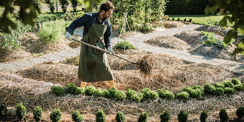 gardening