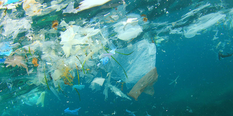 ENVIROMENT