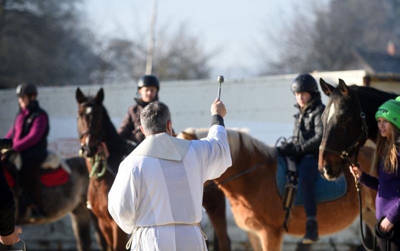 Priest blessing horses