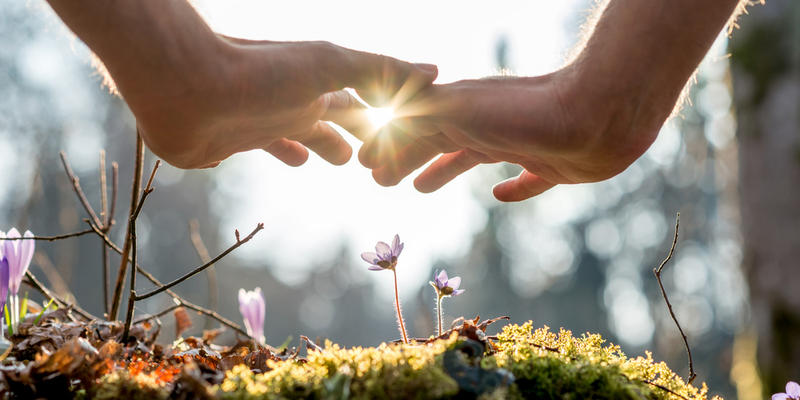 HANDS FLOWERS