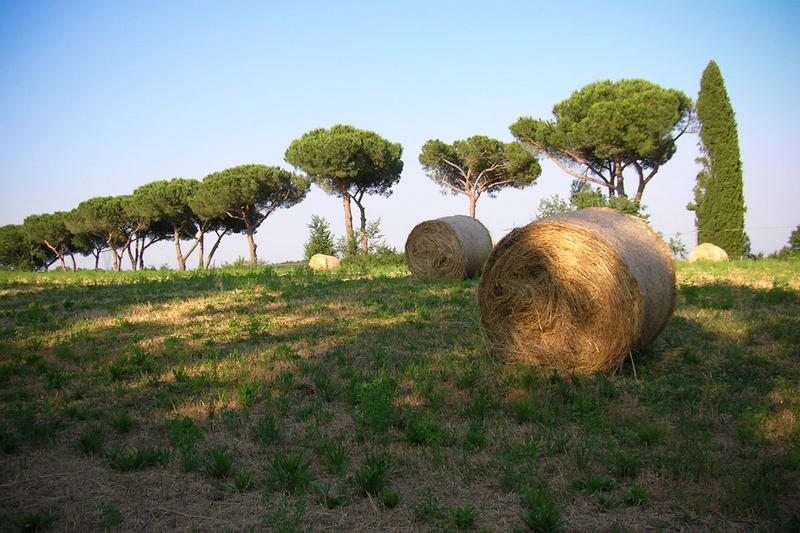 CAMPO_NEL_PARCO_DI_VEIO