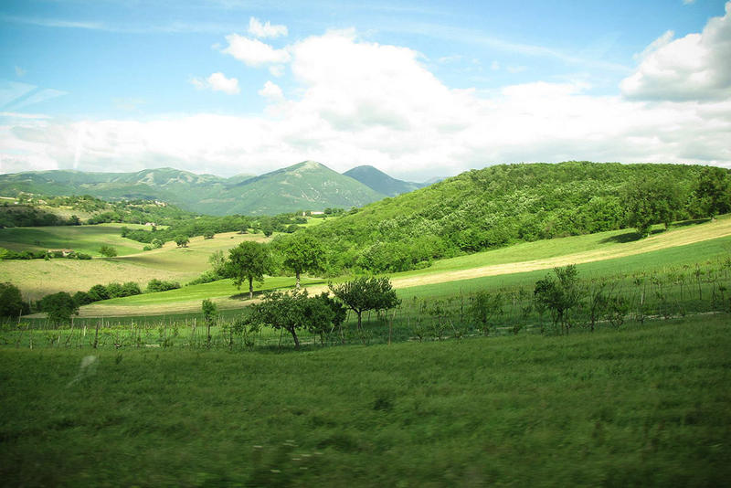 MONT MARTANI