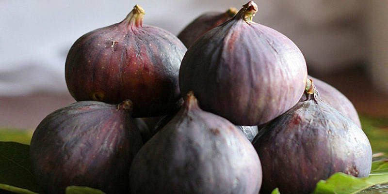 FIGS