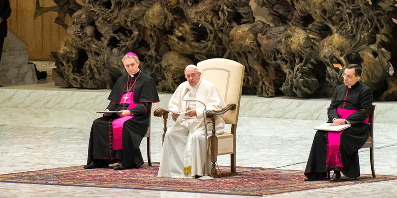 Pope Audience