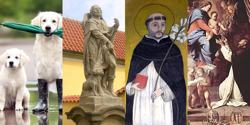 cachorros e espiritualidade católica