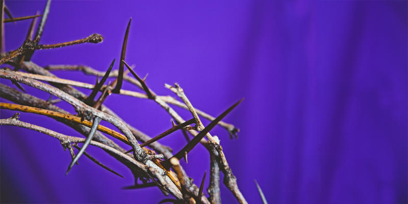 CROWN OF THORNS,GOOD FRIDAY,LENT