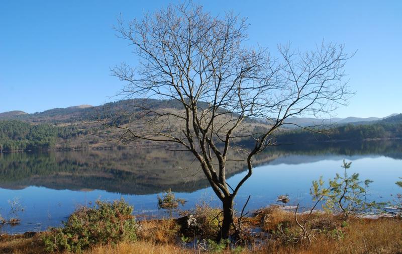 PETELINJSKO JEZERO