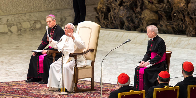 Pope Francis Audience