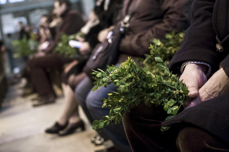 PALM SUNDAY