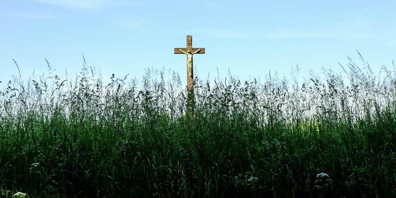 CROSS IN GRASS