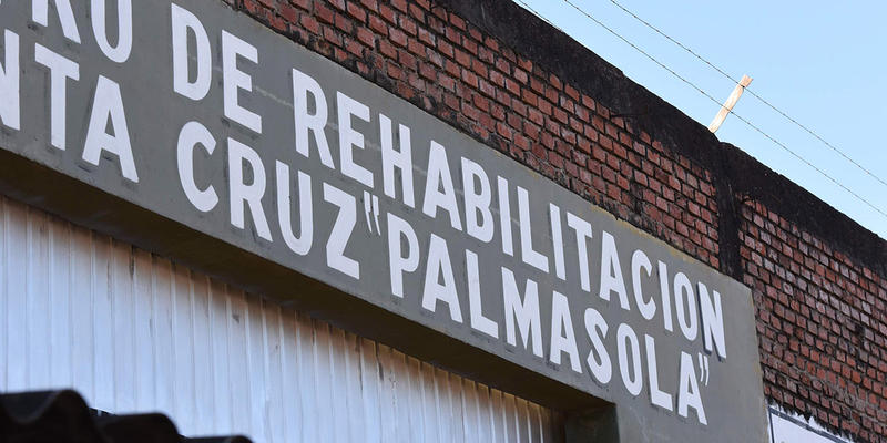 PALMASOLA