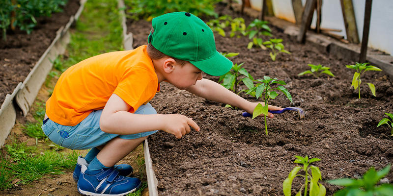 CHILD IN THE GARDEN