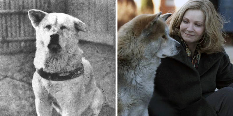 HACHIKO