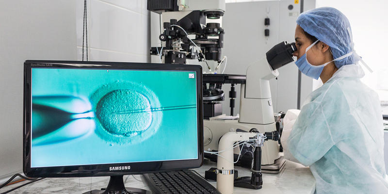 IN VITRO FERTILIZATION