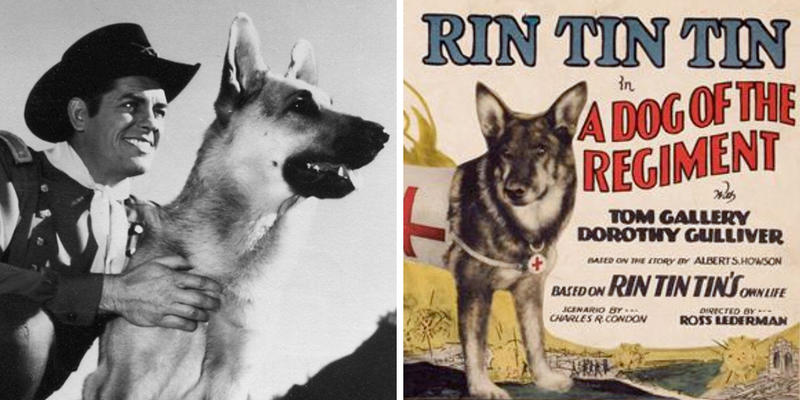 RIN TIN TIN