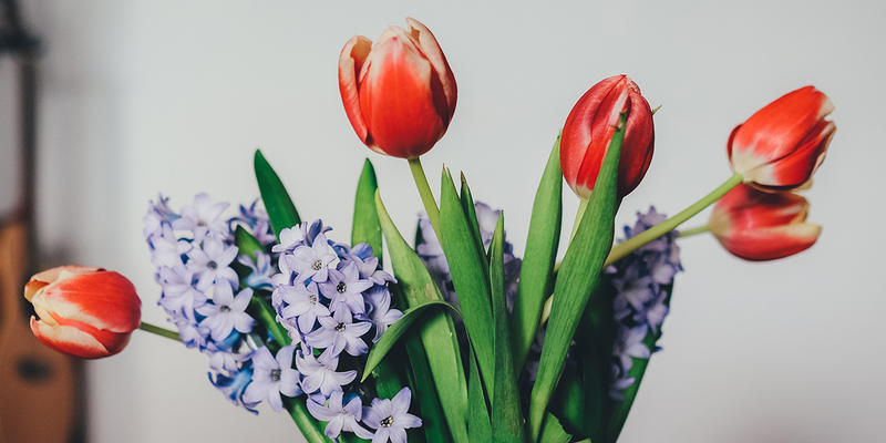 BOUQUET OF FLOWERS