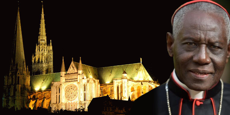 Cardeal Sarah homilia Catedral Chartres