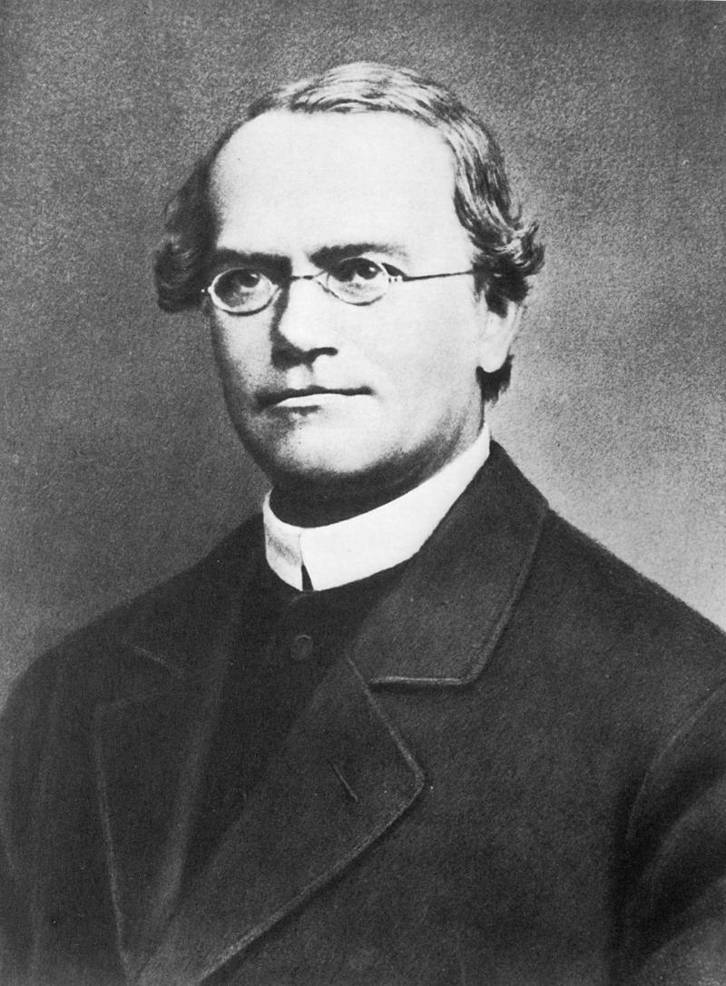 GREGOR MENDEL