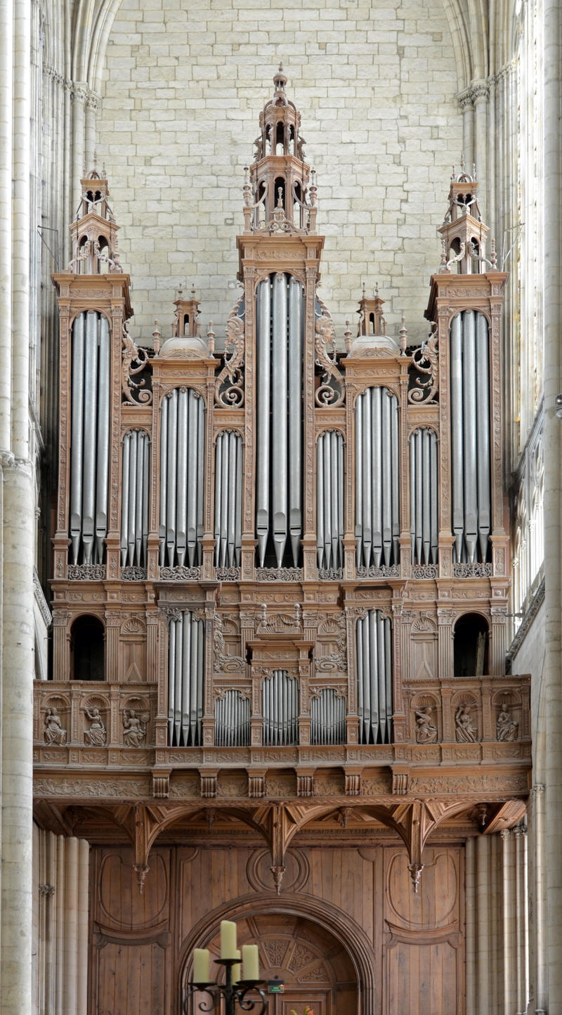 MANS ORGAN