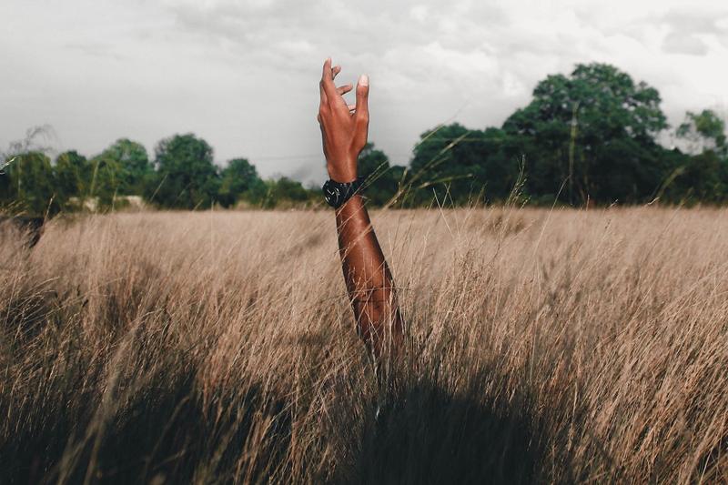 MANO, PRATO, CIELO