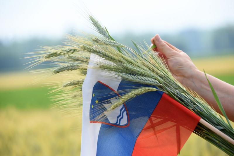 FLAG SLOVENIA