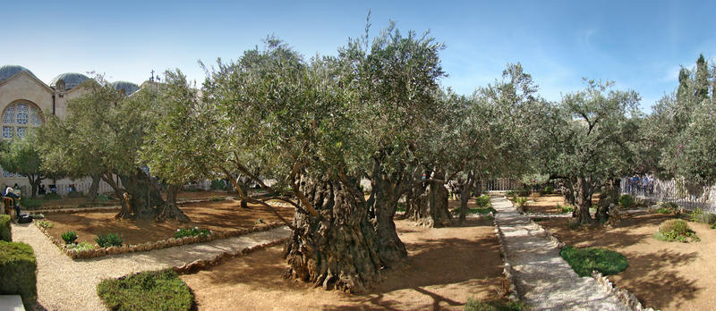 GETHSEMANI