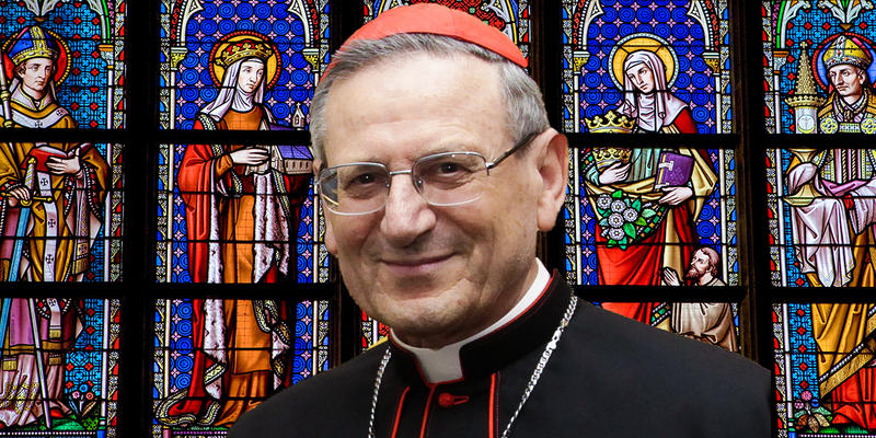 CARDINAL AMATO