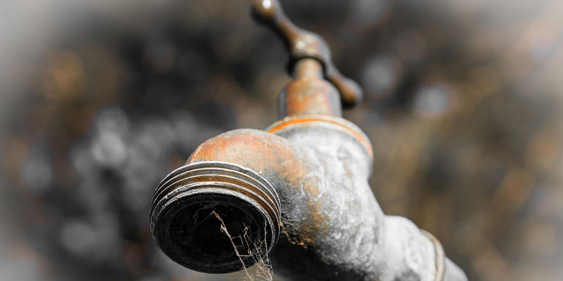 TAP