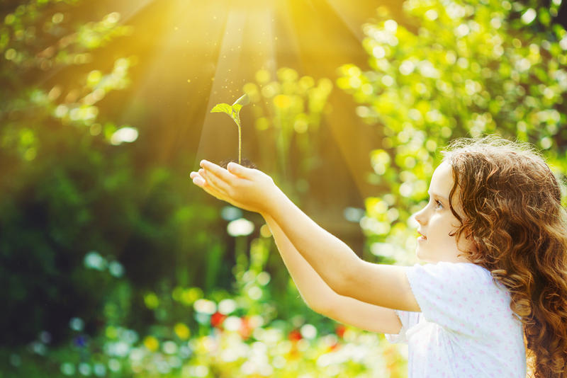 BAMBINA, PIANTA, LUCE