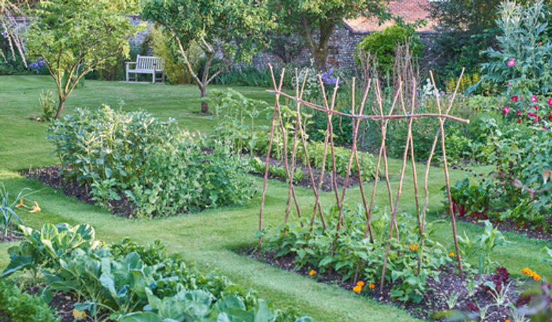 ORTO, VERDURE,