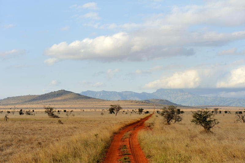 SAVANA, KENYA, AFRICA