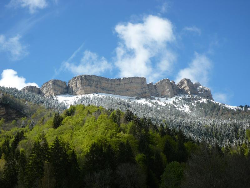 MOUNTAIN CHAMECHAUDE