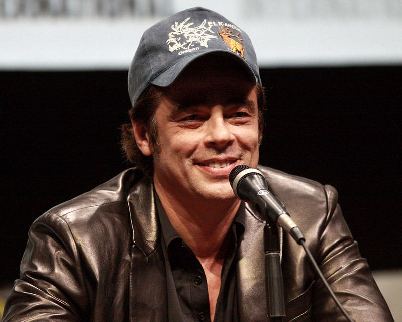 BENICIO DEL TORO