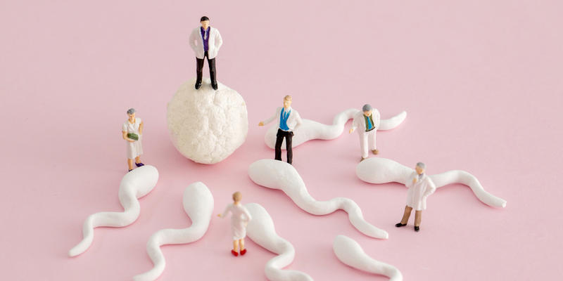 OVUM SPERMS