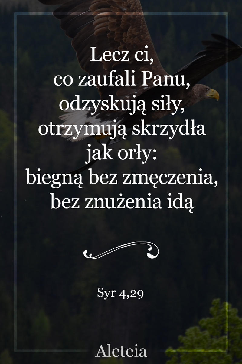 Iz 40,31 v2 - Aleteia Polska